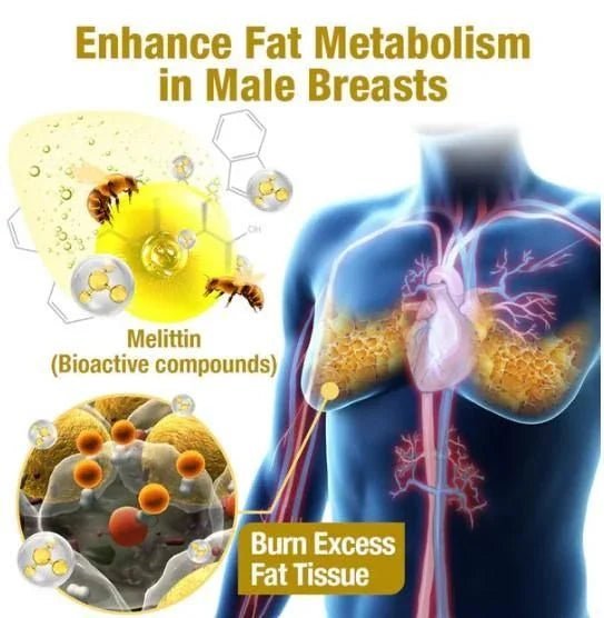 Chest Fat Bee Venom Gynecomastia Heating Oil - Ummati_Essentials